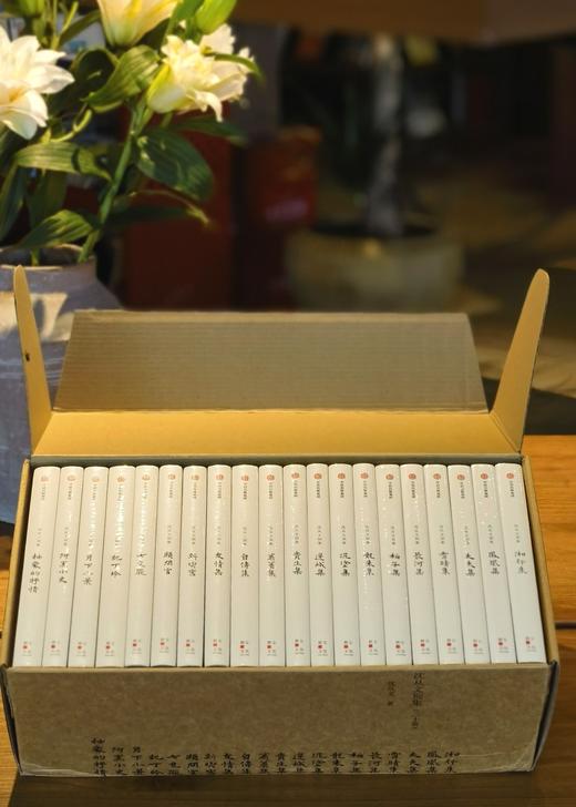 【重磅推荐】《沈从文别集》，精装，32开，20册，沈从文著，中信出版社2022年版，印次不详，定价1380，售价：428元。 商品图2