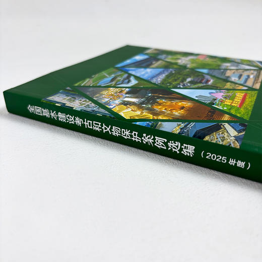 全国基本建设考古和文物保护案例选编（2025年度） 商品图2