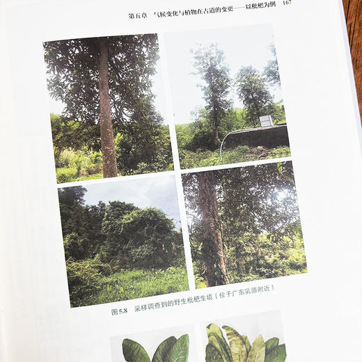 南粤古驿道理论研究.第三卷 自然·生态·物种 9787030825155 商品图4
