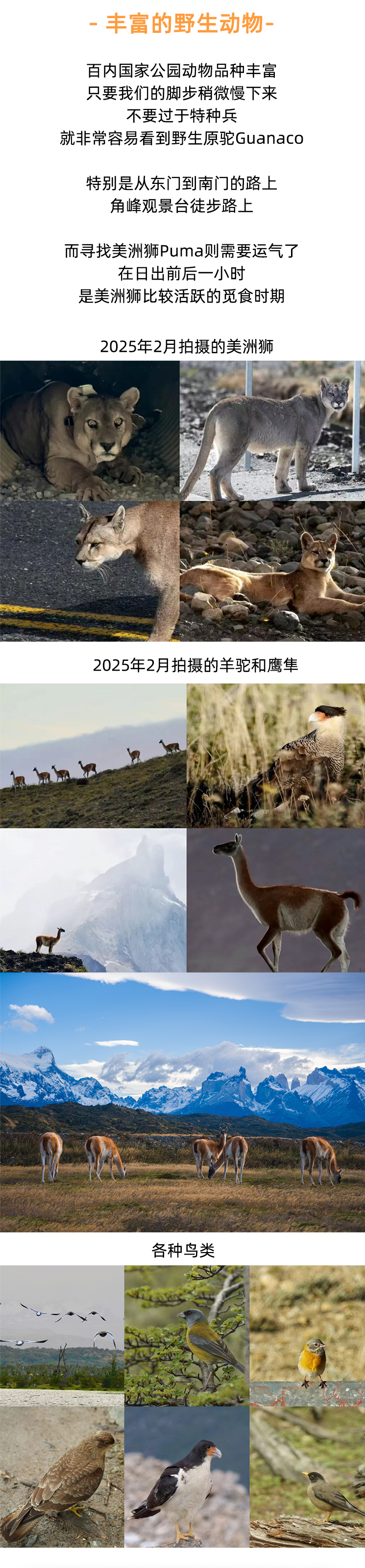 路线亮点 3