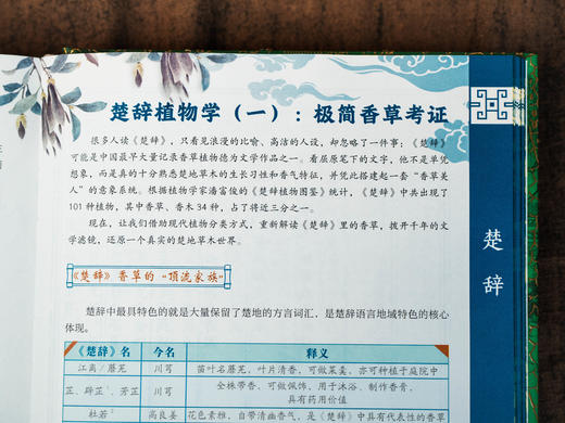 十点出版|  楚辞全本全注全译全解全彩典藏版（全两册）汇集三大权威注本，19卷经典楚辞，8篇拓展篇目，五维立体解读，41个延展专题，读懂三千年楚文化 商品图9