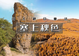 中秋/国庆2日｜塞上秋色｜塞上金秋徒步の油墨画桦皮岭-秘境峡谷老掌沟-后城赤壁朝阳寺-闪电湖日落