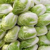 【YC】大白菜 商品缩略图0