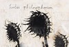 【现货】Anselm Kiefer: Fallen Angels / 安塞尔姆·基弗：堕落天使 商品缩略图2