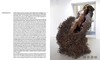 【现货】Anish Kapoor: Untrue Unreal / 安尼施·卡普尔：虚假与非现实 商品缩略图2