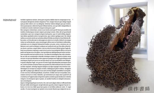 【现货】Anish Kapoor: Untrue Unreal / 安尼施·卡普尔：虚假与非现实 商品图2