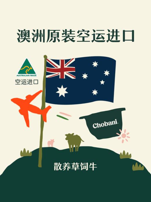 MM 山姆 Chobani 希腊式风味酸奶 100g*3/6 商品图4