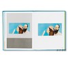 【现货】Alex Katz: White Lotus / 亚历克斯·卡茨：白莲 商品缩略图4
