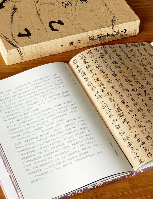 二王帖学代表白蕉经典著作

《中国书法课》上市！全书配80余幅高清传世碑帖。从选帖到运笔 ，从入门到进阶，从书病到书髓，书法大师亲授一生心得，梳理千年问题，示范学习门径。 商品图12