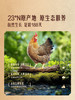 MM 山姆 Member's Mark 188天鲜清远鸡 1kg 商品缩略图2