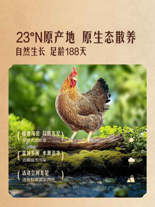 MM 山姆 Member's Mark 188天鲜清远鸡 1kg 商品图2