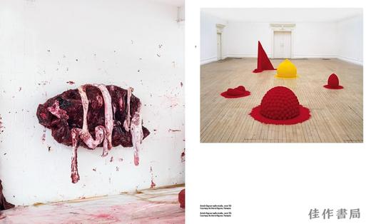 【现货】Anish Kapoor: Untrue Unreal / 安尼施·卡普尔：虚假与非现实 商品图3