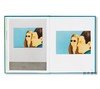 【现货】Alex Katz: White Lotus / 亚历克斯·卡茨：白莲 商品缩略图3