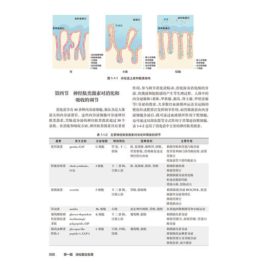 消化病学 第2二版 唐承薇 陈旻湖 房静远 全书拟分为8篇 包括总论（热点与发展趋势）食管 胃 肠 肝 胆 胰 其他 人民卫生出版社 商品图4
