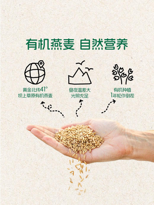 MM 山姆 Oatly有机高纤燕麦奶 1L*3/6瓶 商品图2