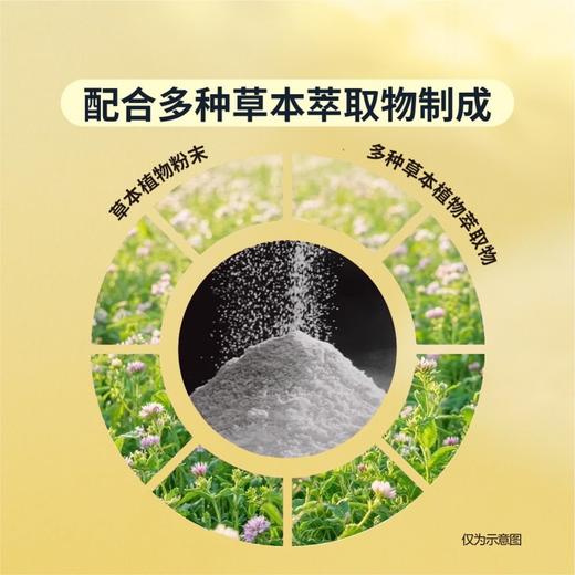 MM 山姆 龙角散 加心糖果（柚子味）76.3g*3/5包 商品图3