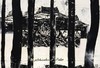 【现货】Anselm Kiefer: Fallen Angels / 安塞尔姆·基弗：堕落天使 商品缩略图1