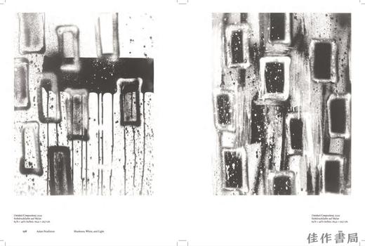 【现货】Adam Pendleton: Blackness  White  and Light / 亚当·彭德尔顿：黑、白与光 商品图4