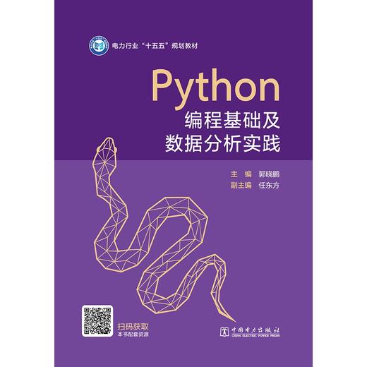 Python编程基础及数据分析实践 商品图1