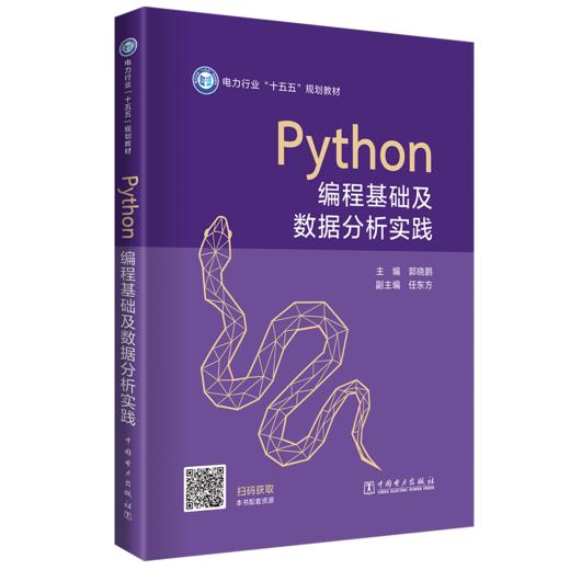 Python编程基础及数据分析实践 商品图0