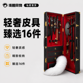 高档SM皮具箱16件套 优质牛皮材质 轻奢箱装