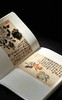 【重磅推荐】《山林气象：金农特展图录》，精装，8开，应金飞 主编  黄寿耀 执行主编，西泠印社出版社2026年8月一版一印，360页，定价：500.00元，售价：398元。 商品缩略图13