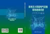 高电压大容量电气设备现场绝缘试验 商品缩略图2