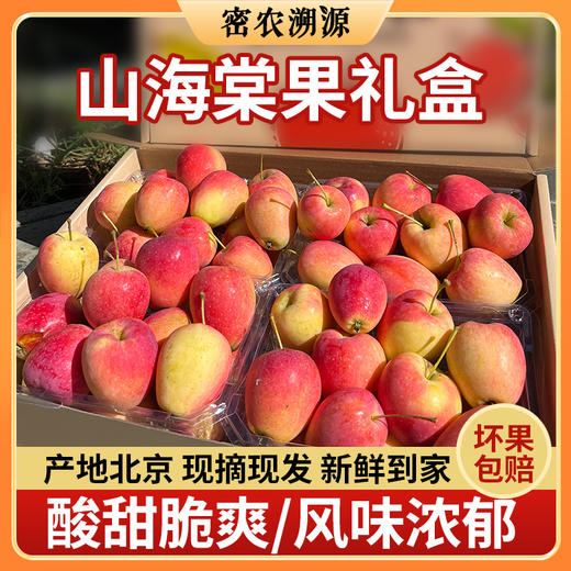 【送礼必备】海棠果礼盒装  山区种植海棠果 个头小巧  口感脆酸甜  果香浓郁  沙果 小苹果 4斤 包邮 商品图0
