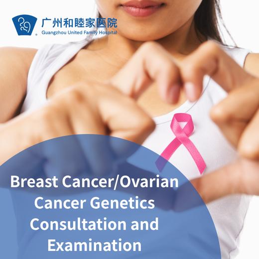 Breast Cancer/Ovarian Cancer Genetics Consultation and Examination 商品图0