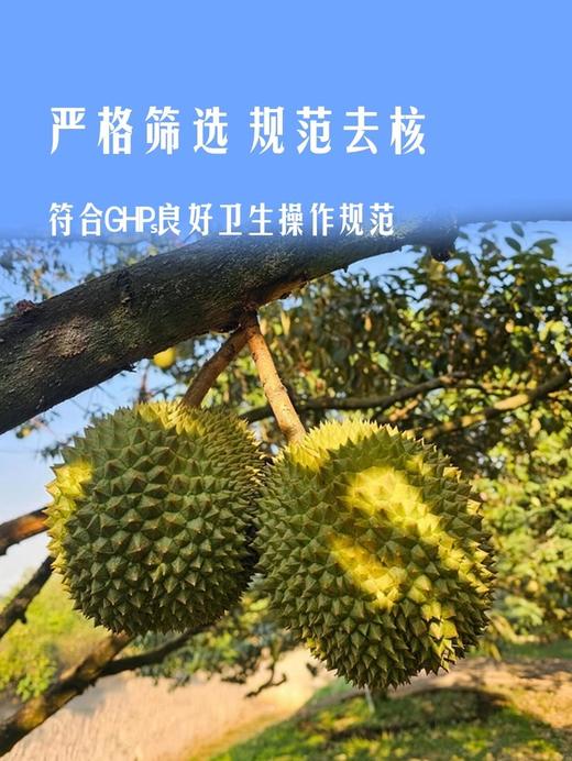 聚便利 x 山姆 佳沃 冷冻金枕榴莲果肉 尝鲜分装 100g/盒 商品图2
