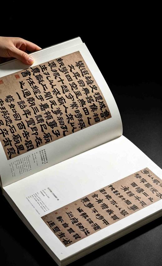 【重磅推荐】《山林气象：金农特展图录》，精装，8开，应金飞 主编  黄寿耀 执行主编，西泠印社出版社2026年8月一版一印，360页，定价：500.00元，售价：398元。 商品图11