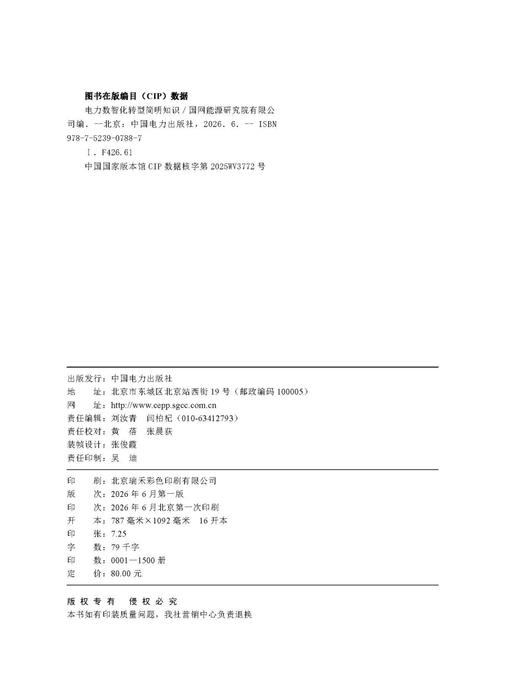 电力数智化转型简明知识 商品图3