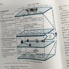官网 供应链管理 第7版 马士华 教材 9787111779926 机械工业出版社 商品缩略图3