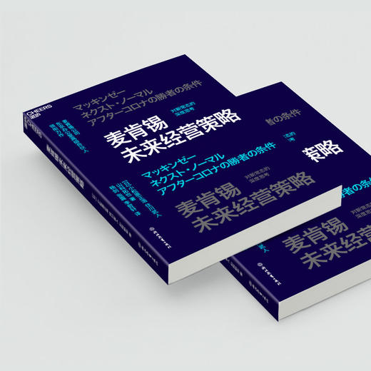麦肯锡未来经营策略 对新常态的深度思考 商品图4