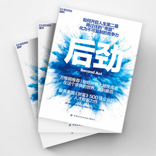 后劲 万维钢推荐｜献给所有大器晚成者，在求快世界赢到最后 商品图3