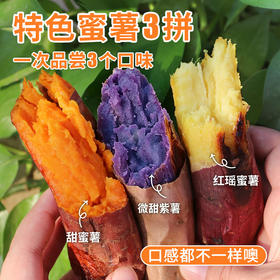 当季新鲜 特色三种蜜薯三拼 一次品尝三种口味 软糯 绵软 甜蜜薯、红瑶、紫薯三种红薯5斤装