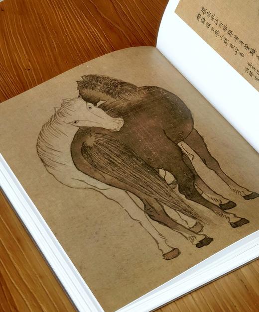 【重磅推荐】《山林气象：金农特展图录》，精装，8开，应金飞 主编  黄寿耀 执行主编，西泠印社出版社2026年8月一版一印，360页，定价：500.00元，售价：398元。 商品图9