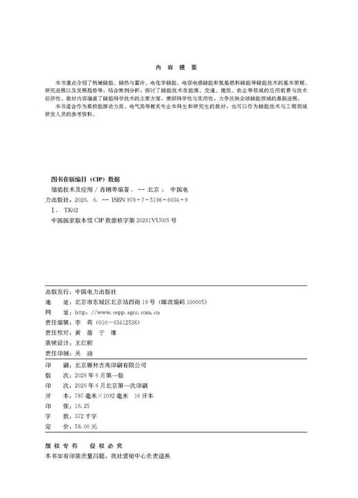 储能技术及应用 商品图3