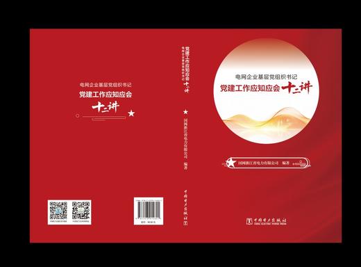 电网企业基层党组织书记党建工作应知应会十二讲 商品图2