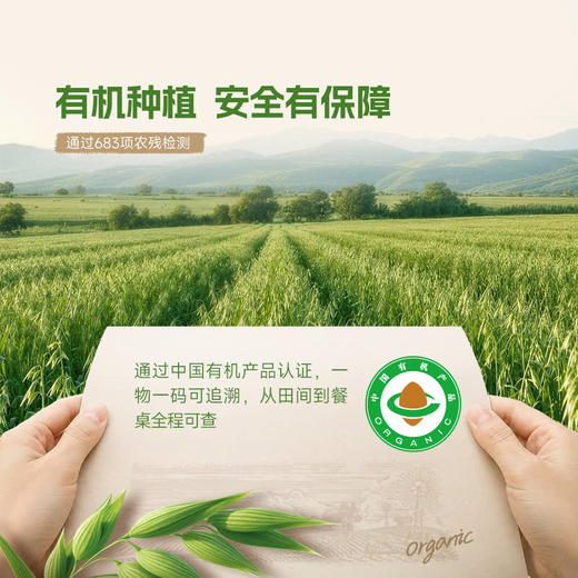 聚便利 X 山姆 WILLAMS TOWN有机三色藜麦燕麦麸皮 尝鲜分装 40g/袋 商品图3