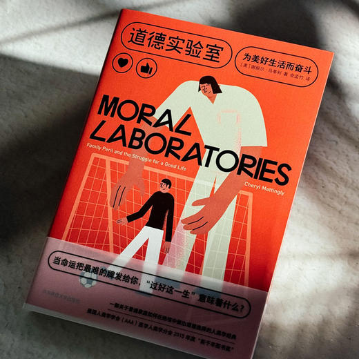 道德实验室 为美好生活而奋斗 谢丽尔·马蒂利 美国人类学学会（AAA）医学人类学分会2015年度“新千年图书奖” 商品图4