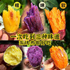 当季新鲜 特色三种蜜薯三拼 一次品尝三种口味 软糯 绵软 甜蜜薯、红瑶、紫薯三种红薯5斤装 商品缩略图2