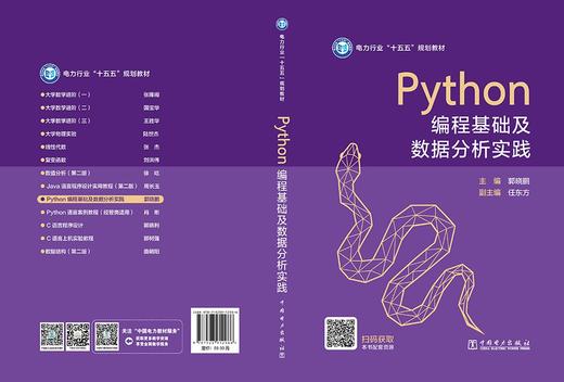 Python编程基础及数据分析实践 商品图2