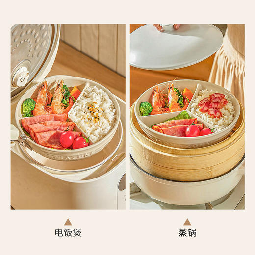 摩登主妇MONAZONE釉下彩分格餐盘大人减肥专用陶瓷三分格蒸菜盘子 商品图3