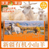 新疆天漠草湖 有机小山羊肉 冰碴驹俐 有机认证产品 商品缩略图1