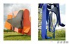 【现货】Arlene Shechet: Girl Group (Storm King Art Center) / 阿琳·谢切特：女团（暴风国王艺术中心） 商品缩略图3