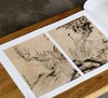【特惠】《荣宝斋画谱：石涛 罗汉图册》，8开，平装，石涛绘，荣宝斋出版社2023年8月一版四印，定价96，售价38元。 商品缩略图4