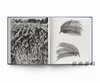 【现货】Botanical: Observing Beauty (Chaumet) / 植物志：观察美（尚美巴黎） 商品缩略图4