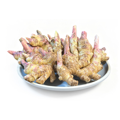 云南有机小黄嫩姜（多规格）