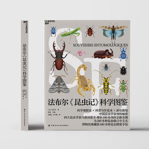 法布尔《昆虫记》科学图鉴 商品图2